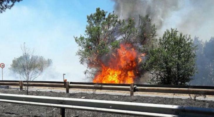 Vasto incendio in provincia di Cosenza, ss 106 chiusa al traffico 51 foto incendio strada