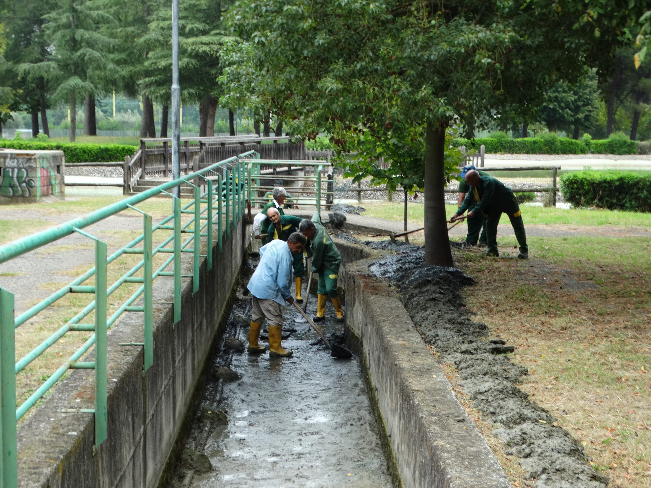 Lavori di manutenzione al Parco Robinson di Rende 68 foto parco 1 1 scaled