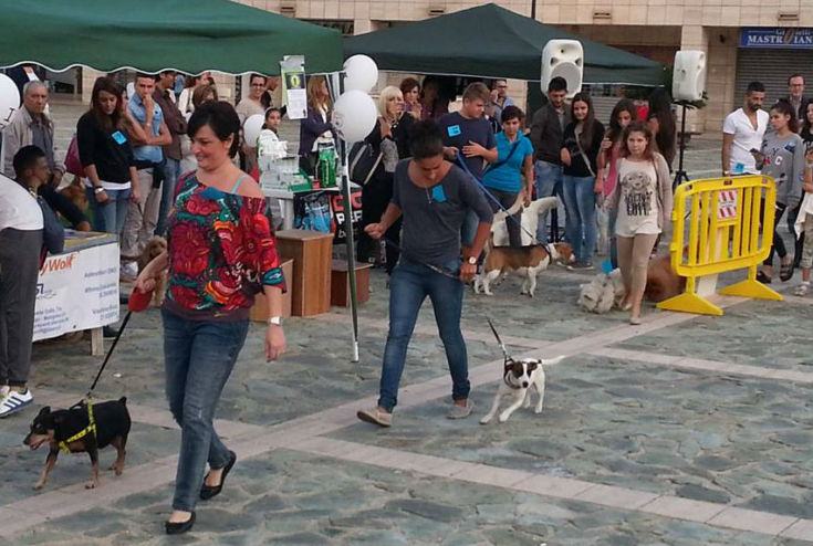 foto scorso anno enpa