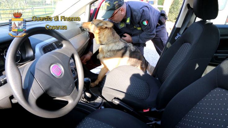 fotoQuattro