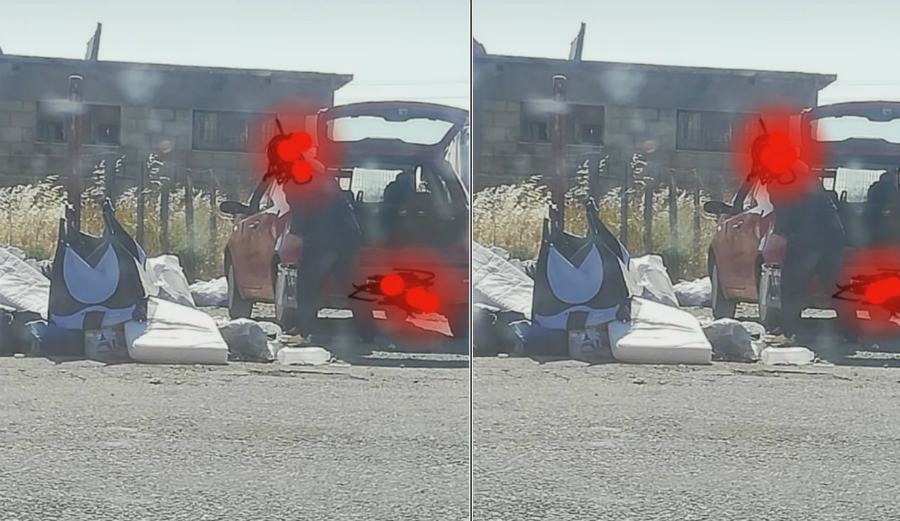 fototrappole isola capo rizzuto 01