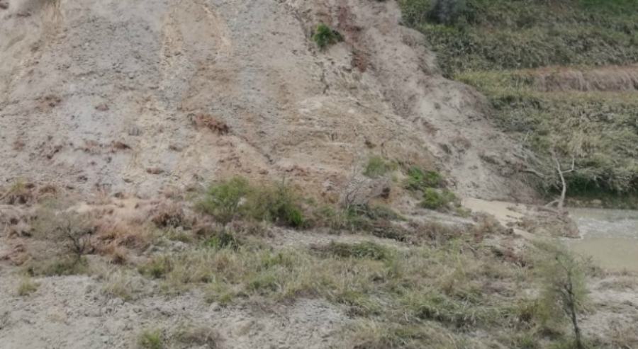 frana laureana borrello sorical