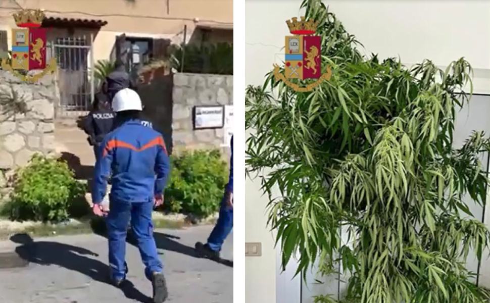 furto energia polizia e marijuana