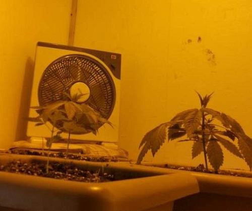 galleria2018111713534000 0