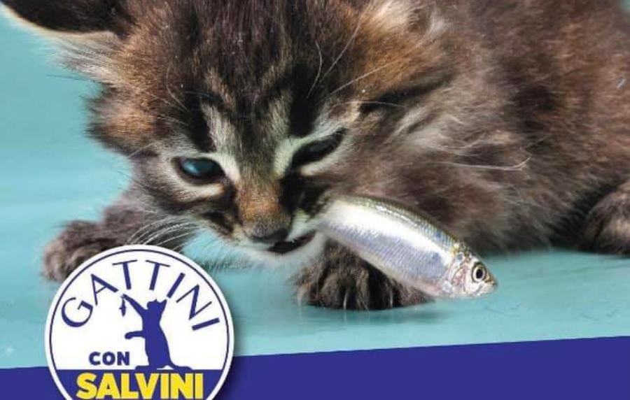 gattini con Salvini