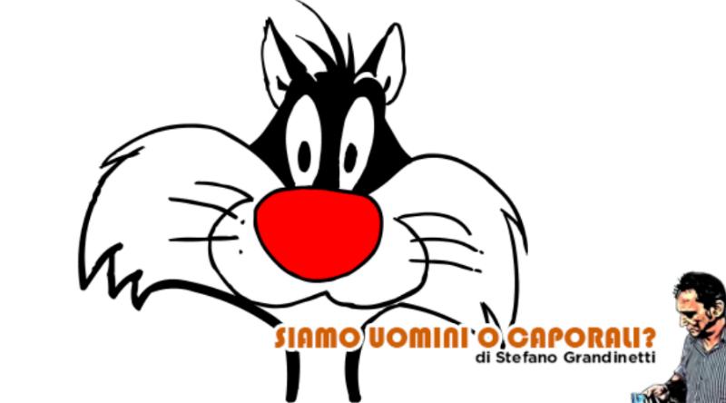 gatto grandinetti