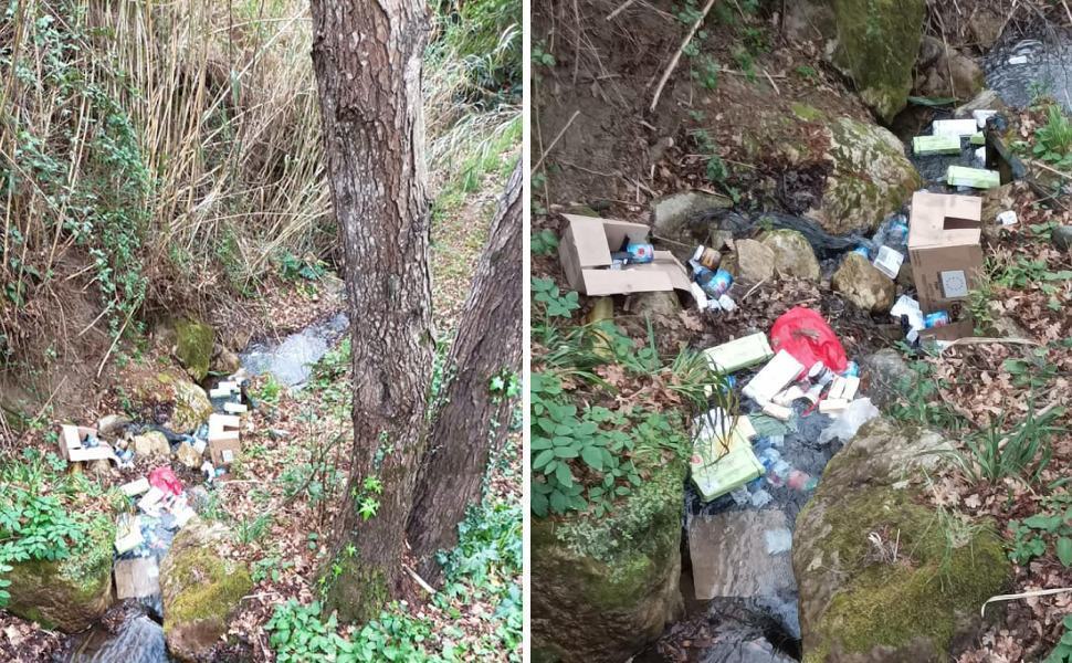 generi alimentari fiume falconara albanese