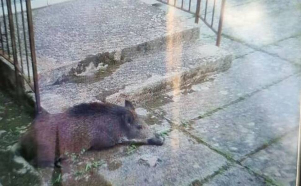 generico settembre 2022