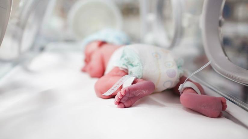 Presentazione del corto “Koi”: l'esperienza del lutto perinatale vista dai padri 51 giornata mondiale della prematurita