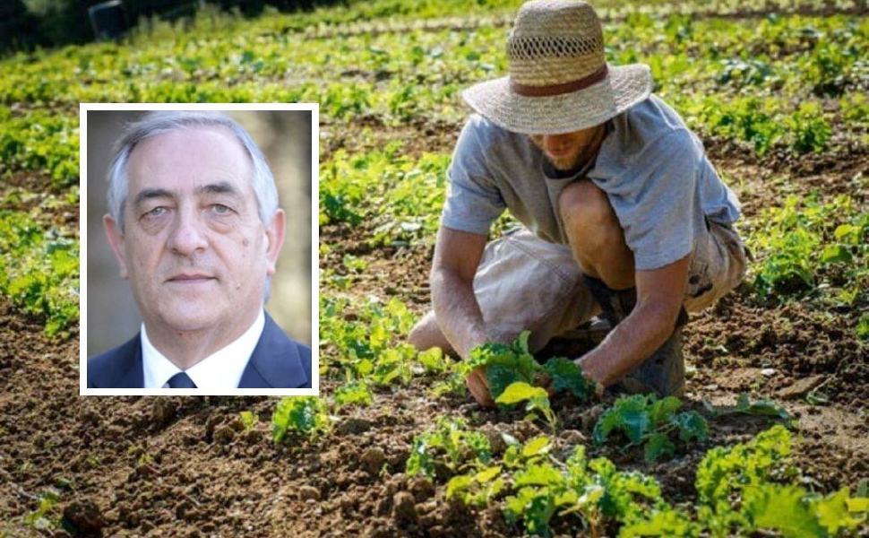 Molinaro (Lega): "1.209 giovani imprenditori agricoli traditi dalla Regione" 51 giovani e agricoltura Pietro Molinaro LEGA