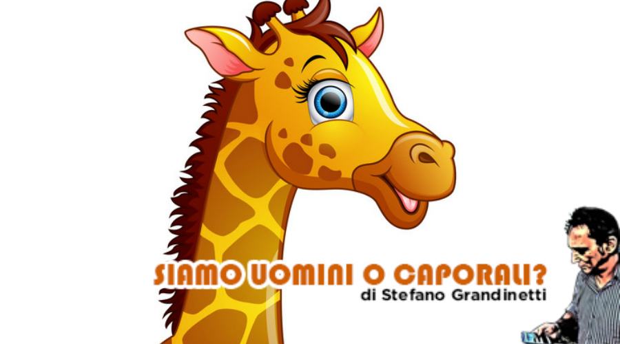 giraffa grandinetti