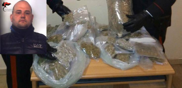 graziano arresto marijuana