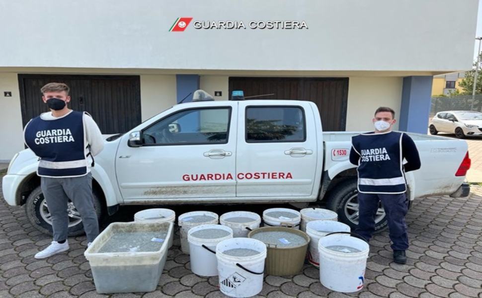 Maxi sequestro nel cosentino: trasportava illecitamente 330 Kg di novellame di sarda 51 guardia costiera 24