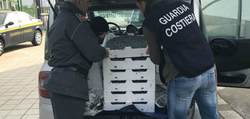 guardia costiera novellame sarda