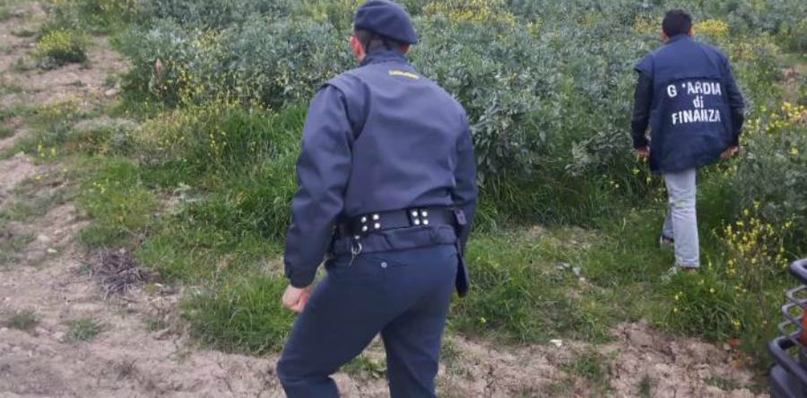 Caporalato nella Piana di Sibari, 7 denunce e un arresto. Un euro per una cassetta 53 guardia finanza caporalato