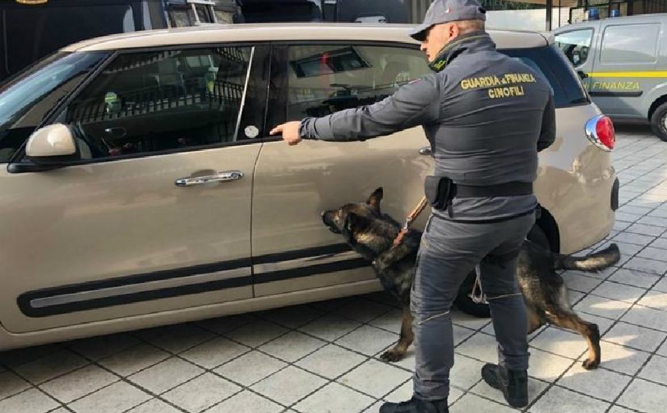 guardia finanza cosenza cinofili 1 1