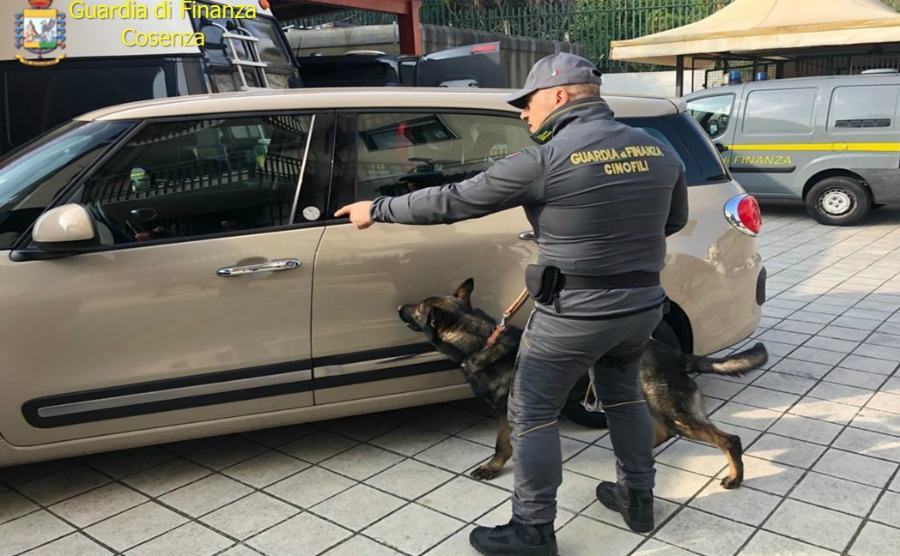 guardia finanza cosenza cinofili