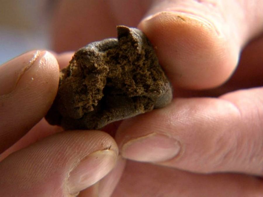 Trovato con hashish e denaro contante, arrestato 50enne 51 hashish 4 1