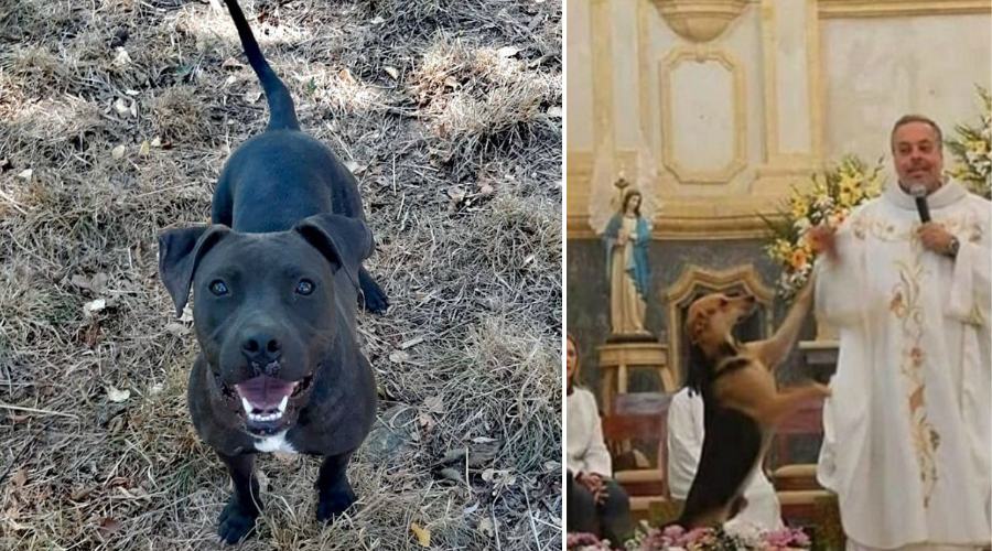 havana e don juan pablo