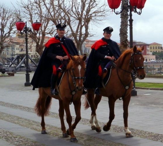 Cosenza, chiesto l'intervento di forze dell'ordine a cavallo su Corso Mazzini 53 image 1 5