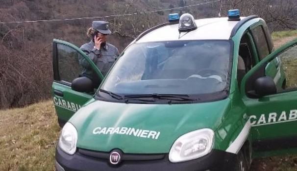 immagini.quotidiano 1