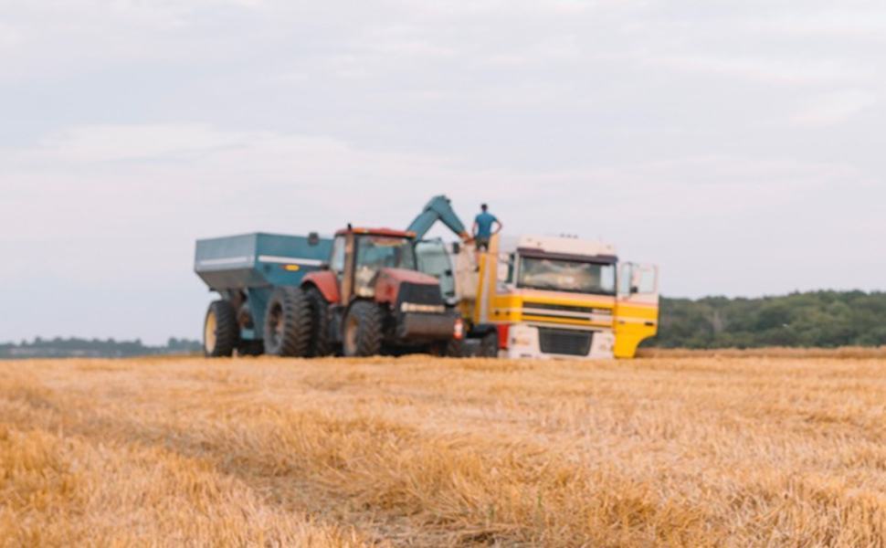 Coldiretti Calabria, i prezzi delle materie prime strozzano le imprese 51 imprenditore agricolo
