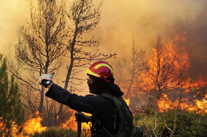 Calabria, firmata la convenzione per la prevenzione e il contrasto degli incendi 62 incendi cosenza
