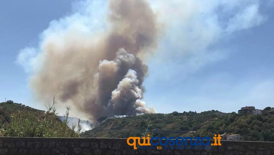 L'inquietante estate degli incendi, Tansi: "strategia criminale, roghi aumentati del 70%" 55 incendio 01