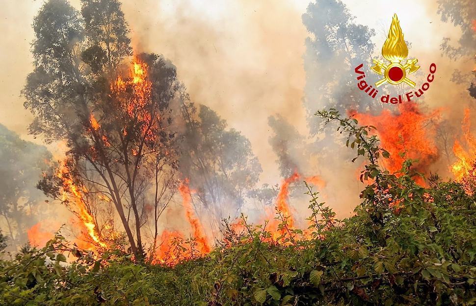 Roghi fino al Parco della Sila: fiamme domate dopo una settimana 51 incendio 4 3