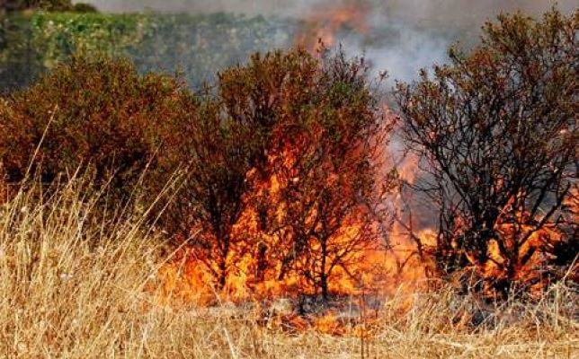 Appicca incendio vicino ad abitazioni, 60enne in manette nel cosentino 56 incendio