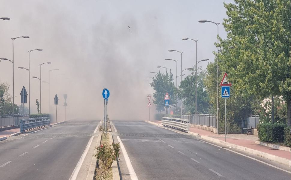 incendio Rende 1 1