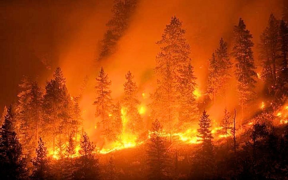 Incendi: tavolo Regione-Sindacati su prevenzione e rilancio comparto forestale 51 incendio San lorenzo01 1