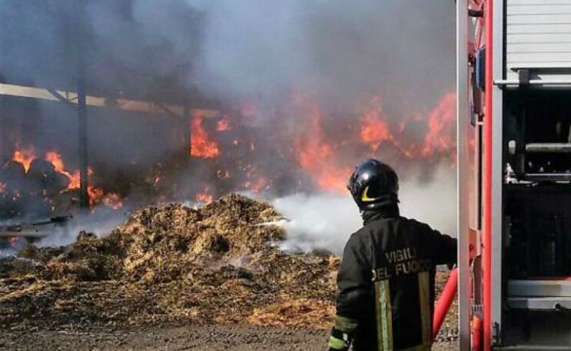 incendio azienda agricola aceto bisignano