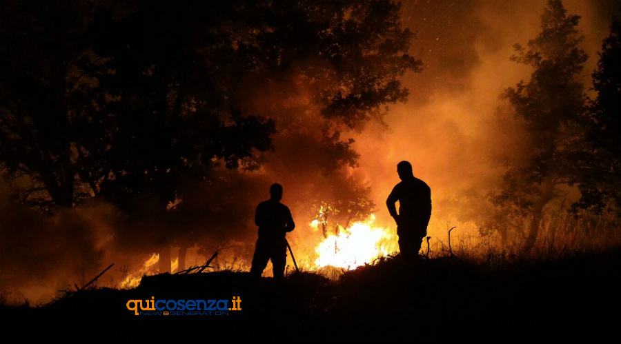 Accusato di aver incendiato boschi del Parco Nazionale della Sila, assolto 51 incendio carolei 3