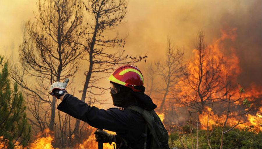 Incendi in Provincia di Cosenza, mezzi aerei di Calabria Verde al lavoro 51 incendio collina 1