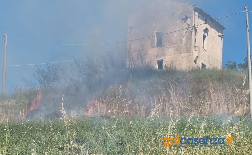 Rende, incendio sulla collina a ridosso della Statale 107 51 incendio collina rende su statale 107 02