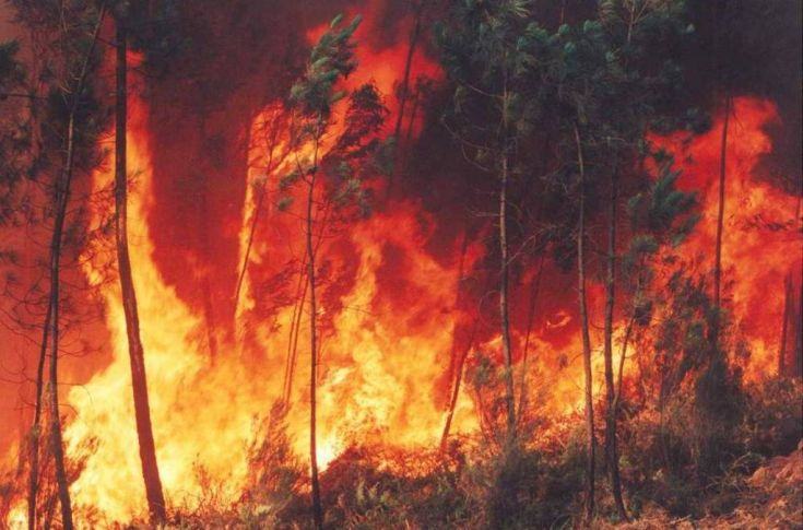 Calabria a rischio incendi, Tansi: "in caso di rogo contattare la ProCiv o i vigili del fuoco" (AUDIO) 51 incendio cosentino corigliano villapiana 1