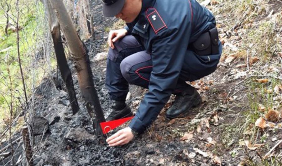 Due ettari di bosco in fiamme a Longobucco, denunciato un uomo 51 incendio forestali cava di melis incendio
