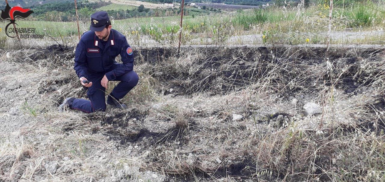 Lungro, individuato e denunciato il responsabile di un incendio 51 incendio lungro