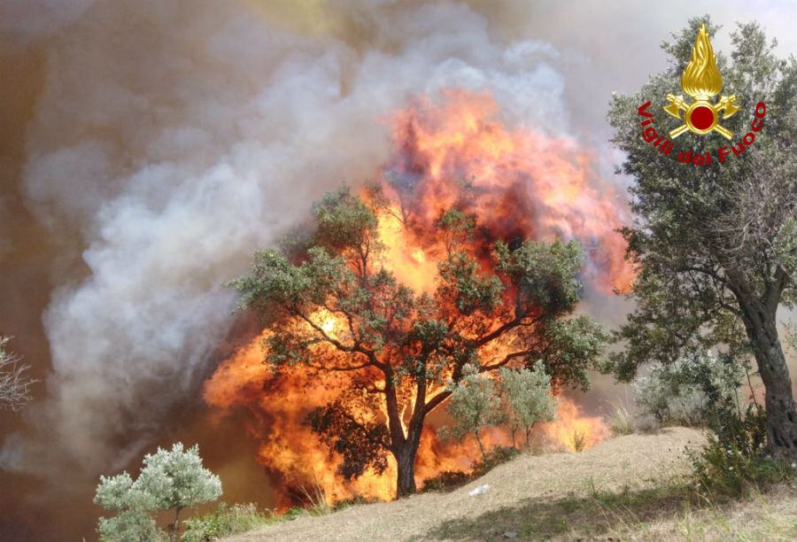 incendio parco biodiversita