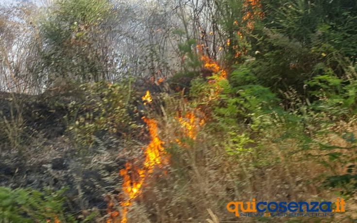 incendio san fili 04