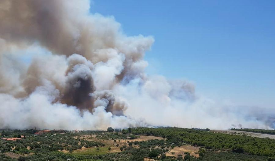 Vasto rogo minaccia le abitazioni di due comuni del cosentino, donna soccorsa dal 118 (FOTO) 51 incendio villapiana 1