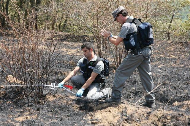 incendio corpoforestale 1