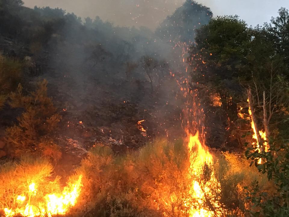 incendio sila 2