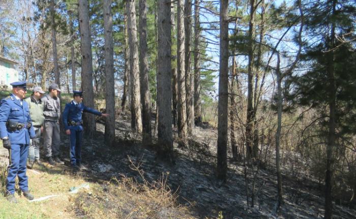 incendio sila polizia provinciale snvlipu 1