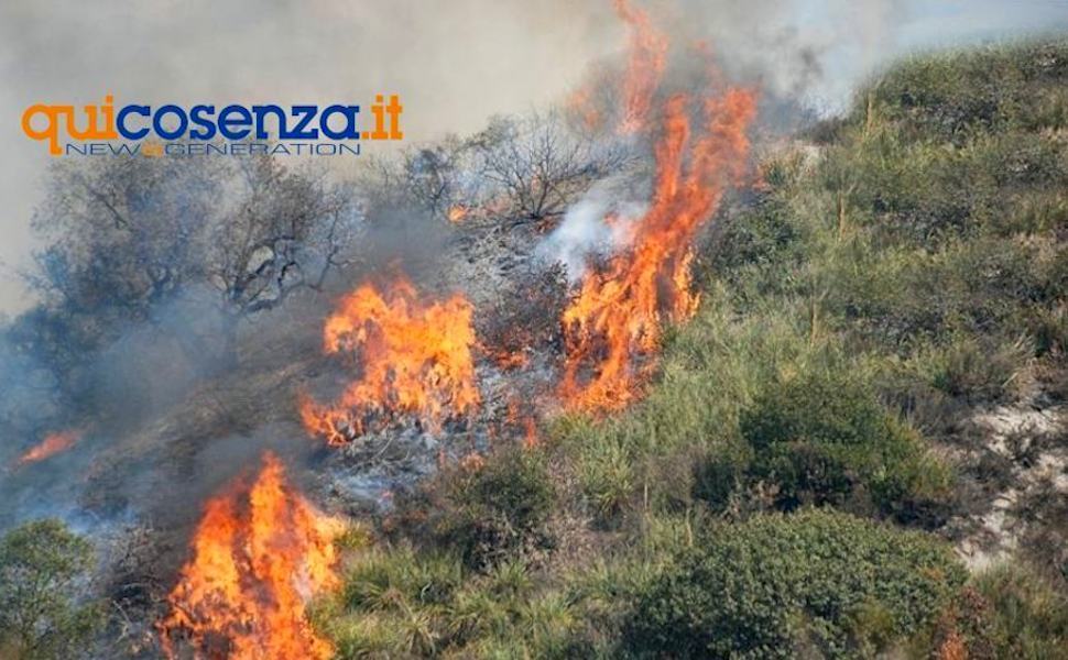 Lotta agli incendi, fino a 100 roghi in Calabria. In Sila uno spento dopo 4 giorni 51 incendiok