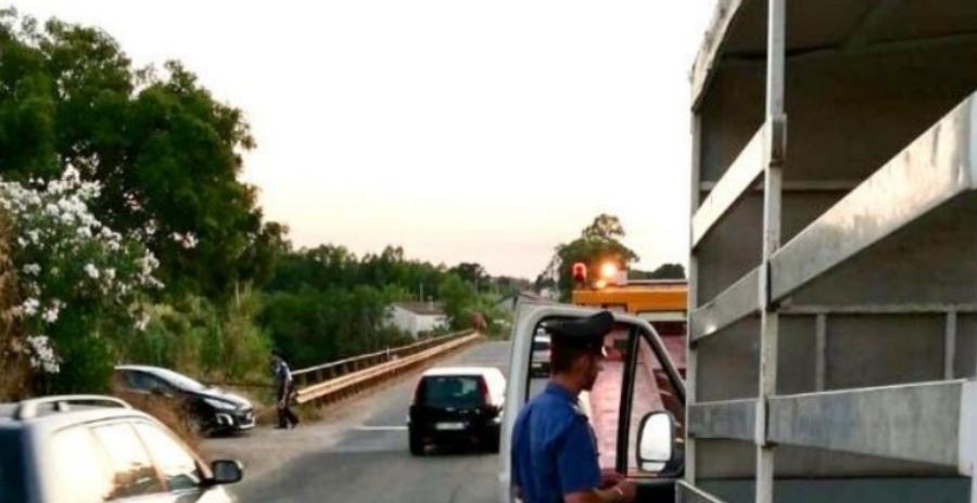 incidente briatico bicicletta