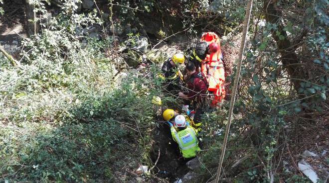 cade burrone falerna