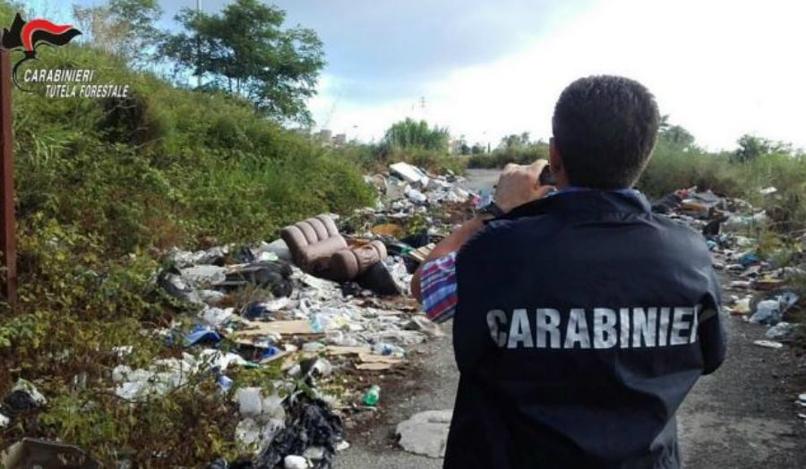 incivili rifiuti serra san bruno carab forest