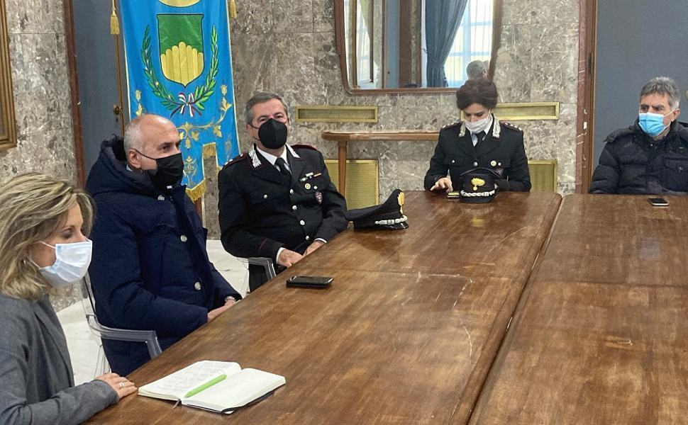 incontro cosenza albero